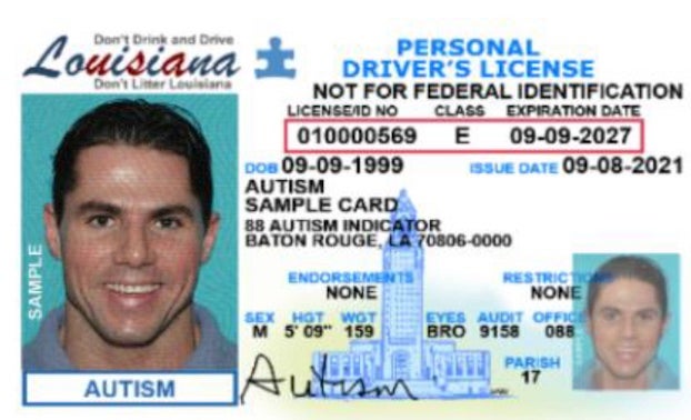 how to find out audit number on drivers license