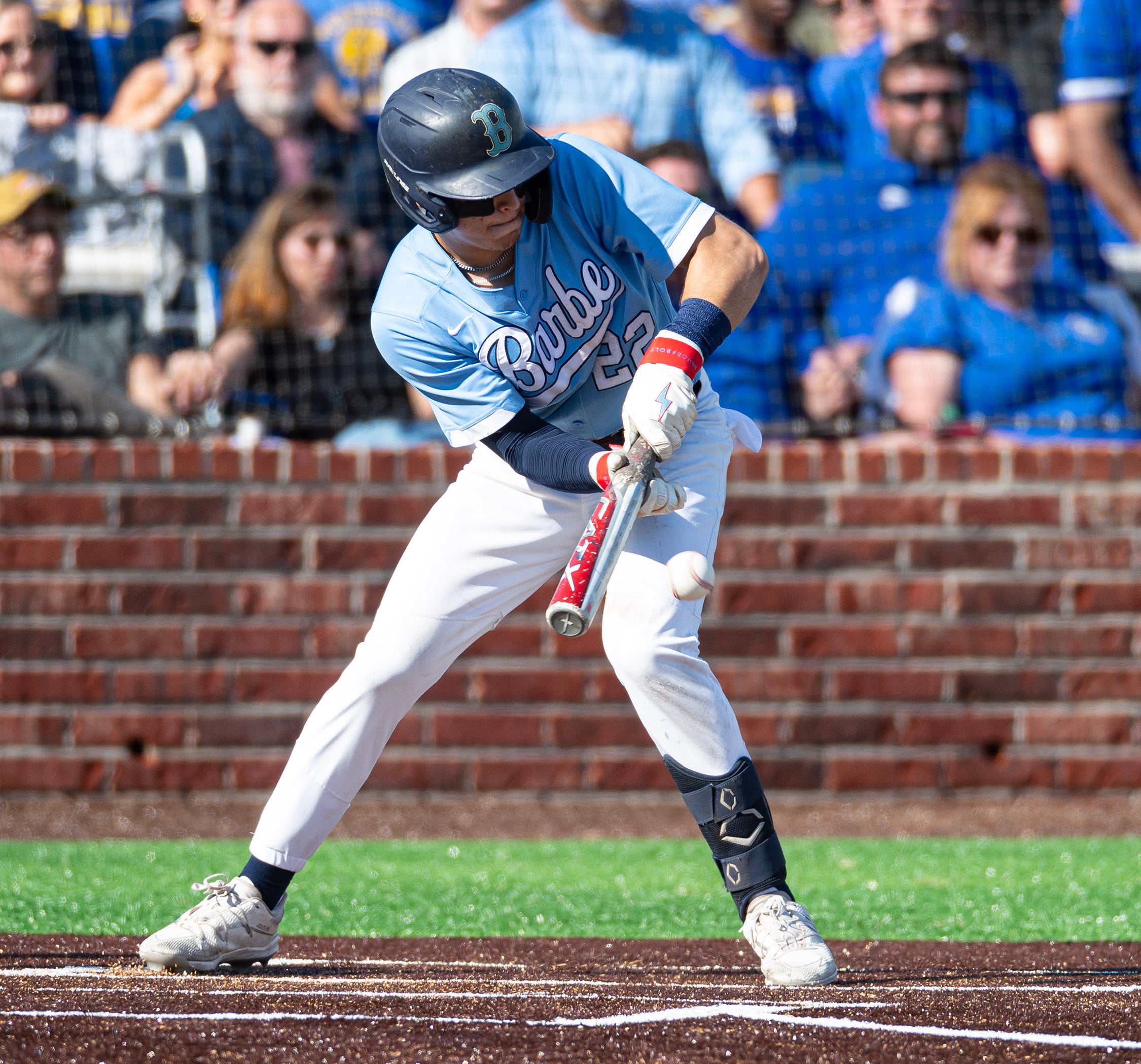 Acadiana Blue Jays Baseball