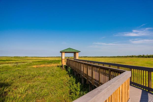 Louisiana’s Outback: The Creole Nature Trail puts SW La.’s treasures on display